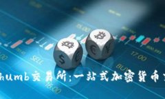 完全了解Bithumb交易所：一站式加密货币交易平台
