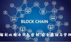 全面解析比特币钱包密钥：安全存储与管理技巧