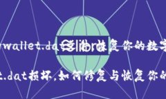 修复损坏的wallet.dat文件，恢复你的数字资产钱包