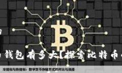 思考一个且的最早的比特币钱包有多大？探索比