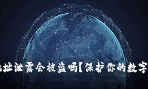 IM钱包地址泄露会被盗吗？保护你的数字资产安全