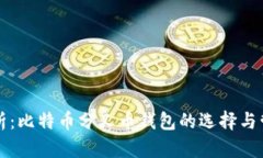 深度解析：比特币分叉币钱包的选择与管理指南