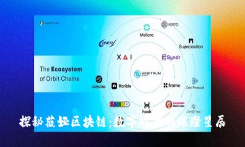 探秘薇娅区块链：数字时代的璀璨星辰