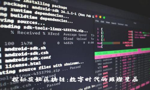 探秘薇娅区块链：数字时代的璀璨星辰