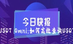 全面了解USDT Omni：如何高效查询USDT资产信息