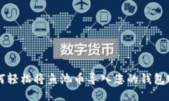 如何轻松将鱼池币导入您的钱包账户