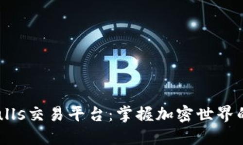 Bitbulls交易平台：掌握加密世界的利器