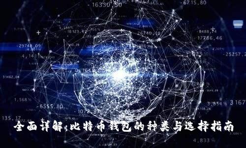 全面详解：比特币钱包的种类与选择指南
