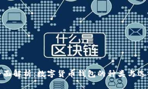 全面解析：数字货币钱包的种类与选择