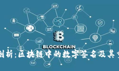 深入剖析：区块链中的数字签名及其重要性