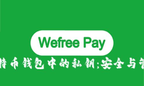 理解比特币钱包中的私钥：安全与管理技巧