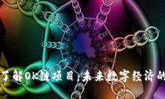 深入了解OK链项目：未来数字经济的桥梁