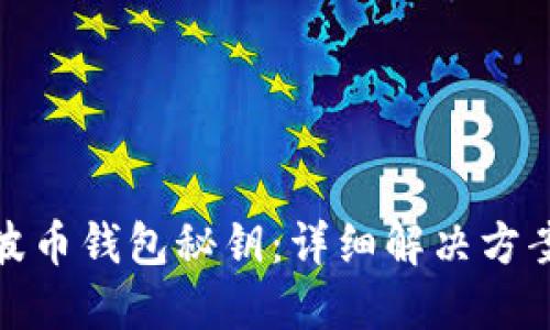 如何找回瑞波币钱包秘钥：详细解决方案与实用建议
