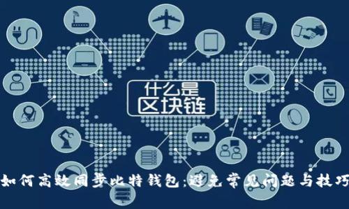 如何高效同步比特钱包:避免常见问题与技巧