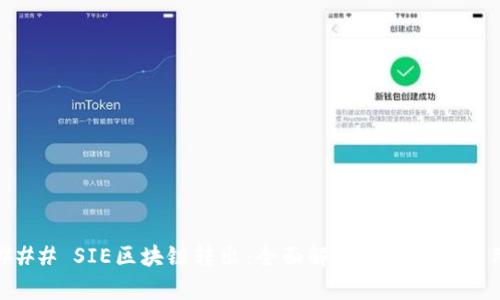 ### SIE区块链转出：全面解析其含义与应用