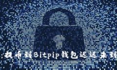 坎坷的数字货币之旅：提币到Bitpip钱包迟迟未到