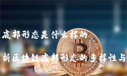 区块链底部形态是什么样的

深入解析区块链底部形态的多样性与实用性