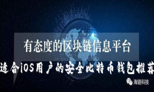 适合iOS用户的安全比特币钱包推荐