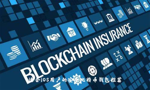 适合iOS用户的安全比特币钱包推荐