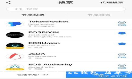 如何轻松下载与安装BSC钱包：简单步骤指南