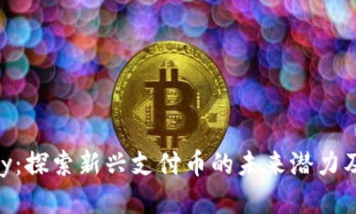GoPay：探索新兴支付币的未来潜力及赋能