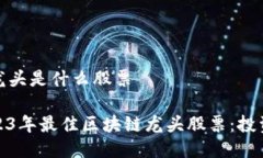 区块链龙头是什么股票探索2023年最佳区块链龙头