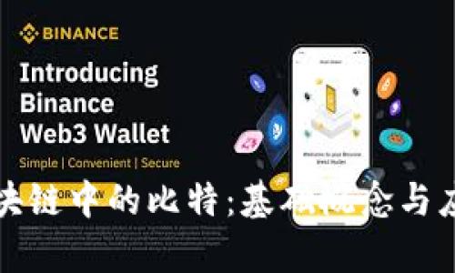 探秘区块链中的比特：基础概念与应用解析