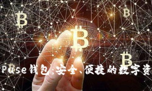 全方位解析Puse钱包:安全、便捷的数字资产管理利器