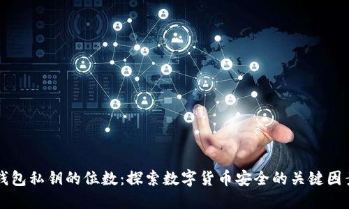 钱包私钥的位数：探索数字货币安全的关键因素