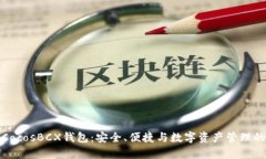深度解析CocosBCX钱包：安全、便捷与数字资产管理