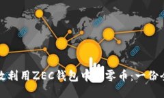 如何高效利用ZEC钱包中的零币：一份全面指南