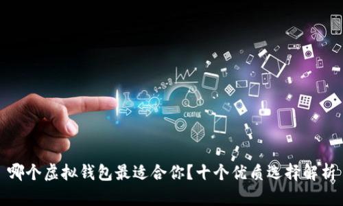 哪个虚拟钱包最适合你？十个优质选择解析