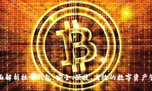 全面解析核心钱包：安全、便捷、高效的数字资产管理