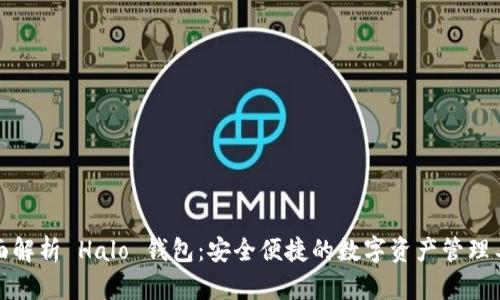 全面解析 Halo 钱包：安全便捷的数字资产管理工具