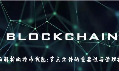 全面解析比特币钱包：节点文件的重要性与管理技巧