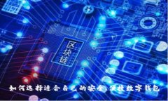 如何选择适合自己的安全、便捷数字钱包