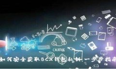 如何安全获取BCX钱包私钥：一步步指南