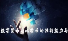 深入分析数字货币与比特币的独特魅力与应用前