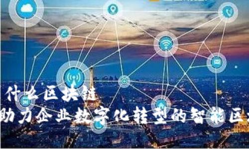 nasgo是什么区块链
NASGO：助力企业数字化转型的智能区块链平台