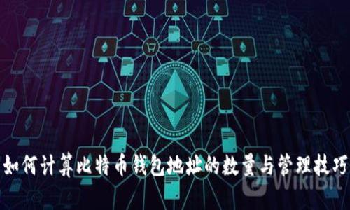 如何计算比特币钱包地址的数量与管理技巧