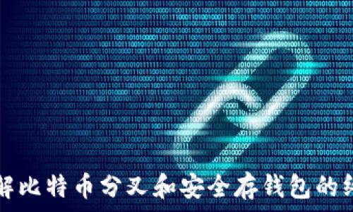 深入了解比特币分叉和安全存钱包的终极指南