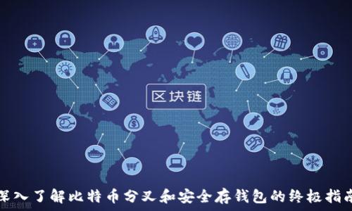 深入了解比特币分叉和安全存钱包的终极指南