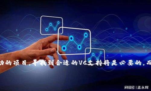 币圈VC的含义与背景

在快速发展的区块链和加密货币领域，