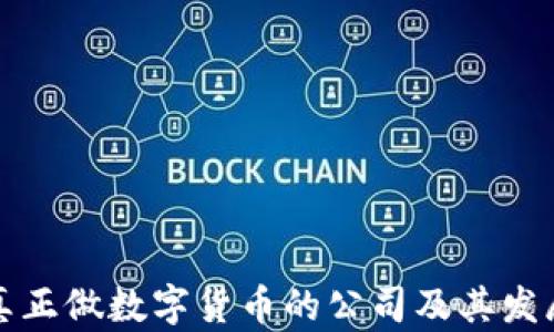 国内真正做数字货币的公司及其发展现状