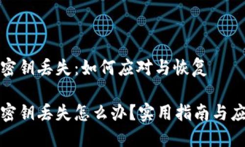 比特币密钥丢失:如何应对与恢复
比特币密钥丢失怎么办?实用指南与应对策略