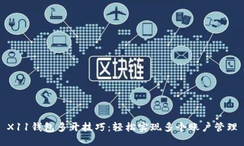 X11钱包多开技巧:轻松实现多个账户管理
