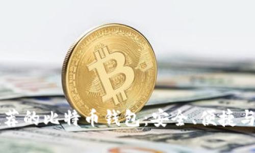 十大用户推荐的比特币钱包:安全、便捷与功能全解析