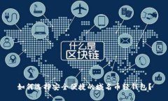 如何选择安全便捷的域名币轻钱包？