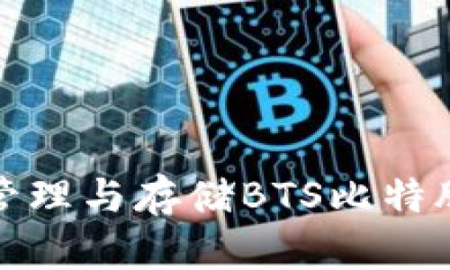 如何安全管理与存储BTS比特股币的钱包