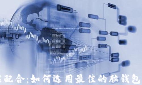 智能配合:如何选用最佳的脑钱包软件